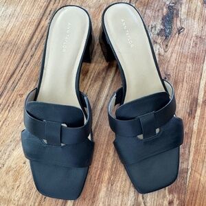 Anne Taylor slip on sandals with turtoise block heels sz 7.5 medium